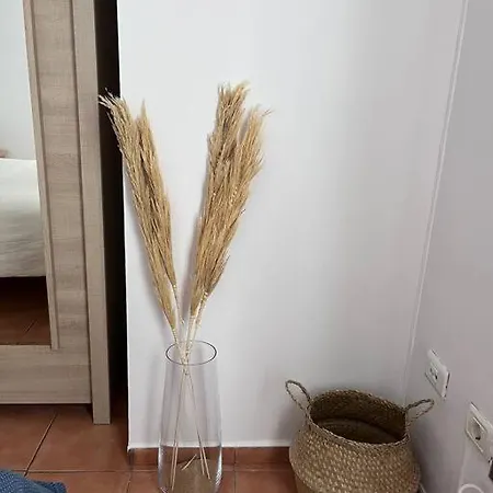 Appartamento Casa Lunita Arona  Esterno foto